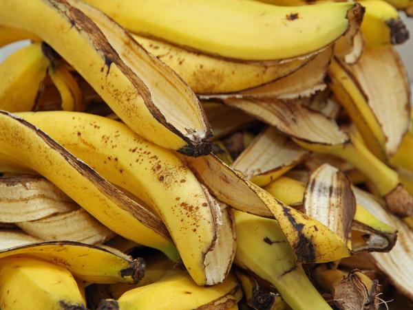 11 натуральных удобрений для домашних цветов