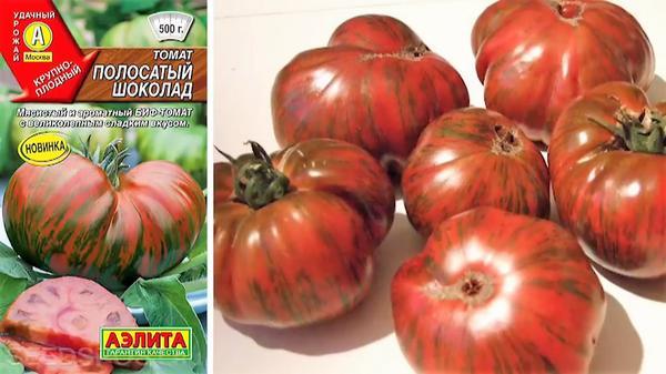 Сорта томатов, которые стоит посеять в этом сезоне. Обзор эксперта
