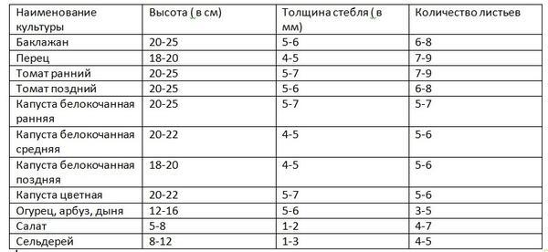 Когда высаживать овощную рассаду в грунт и в теплицы