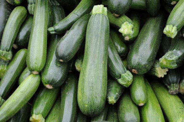 Выращиваем кабачок – ценнейший диетический продукт