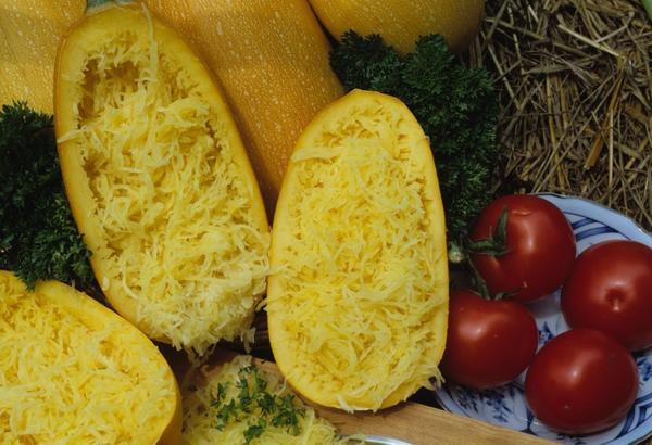 Выращиваем кабачок – ценнейший диетический продукт